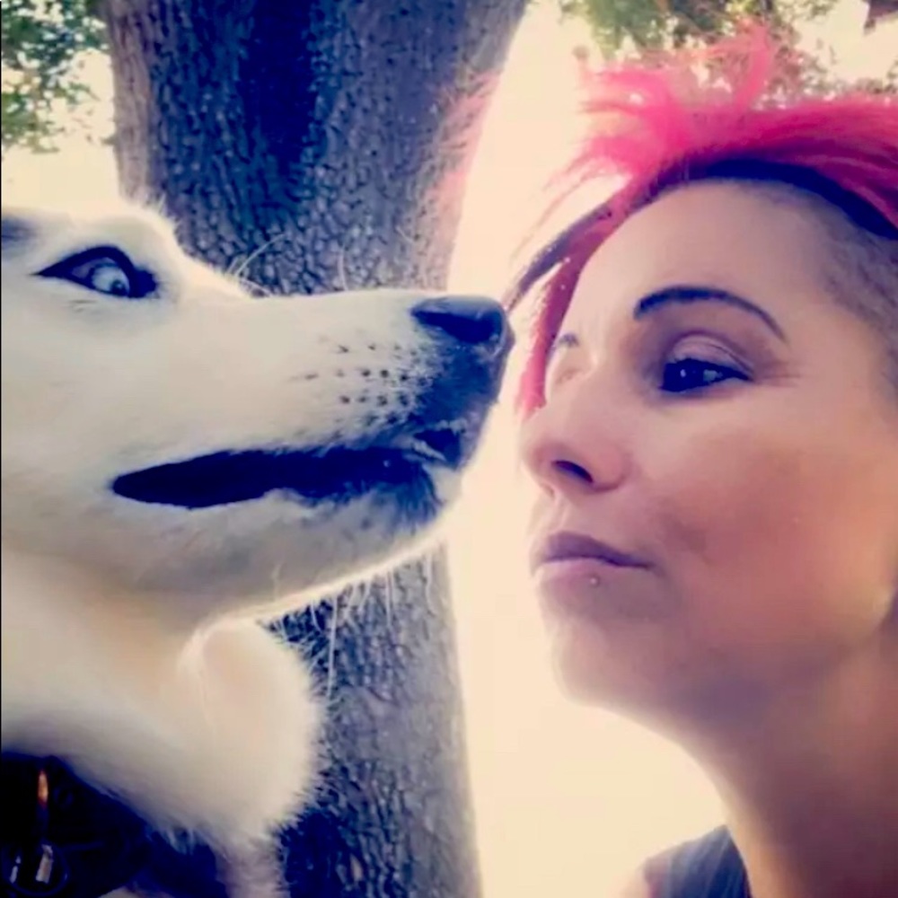 Meet your Posher, Missy